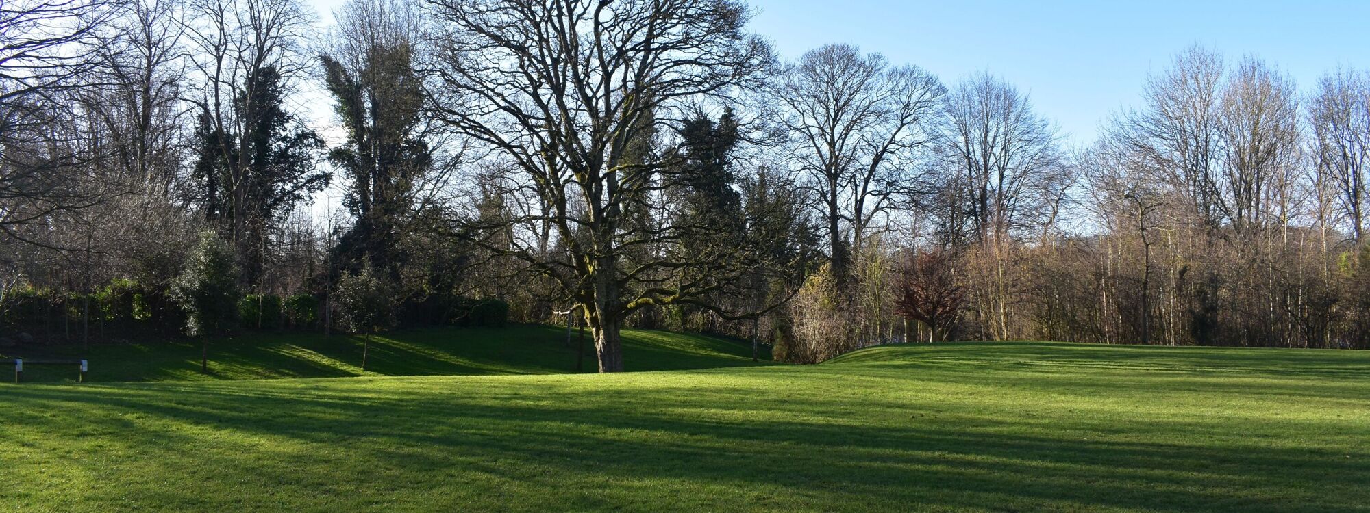 Header Image 1